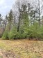 1028 wintree dr, indian river,  MI 49749