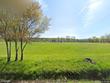  willet,  NY 13863