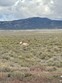 sec 29 twp 40n rge 69e mdb&m, montello,  NV 89830