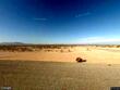 33358 horizon way, bouse,  AZ 85325
