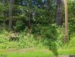 148 vt route 12, montpelier,  VT 05602