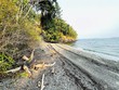 566 ridgedale rd, friday harbor,  WA 98250
