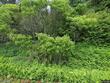 2515 river rd, waterbury,  VT 05676