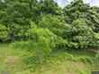  bloomingdale,  MI 49026