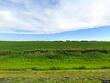  sauk centre,  MN 56378