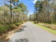 0 rearden avenue, walterboro,  SC 29488