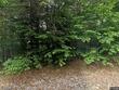 10 avalanche way, waterville valley,  NH 03215