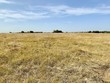 tbd state highway 21 west, dime box,  TX 77853