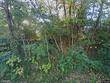 1102 westwinds dr, columbia,  MO 65203