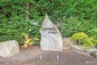 704 kitsap ave ne, renton,  WA 98059