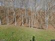 203 peak mountain edge, creston,  NC 28615