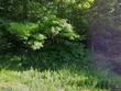 35010 s county highway j, bayfield,  WI 54814