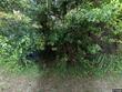 4001 parkwood ave, baltimore,  MD 21206