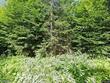 2319 east hill road, woodbury,  VT 05681
