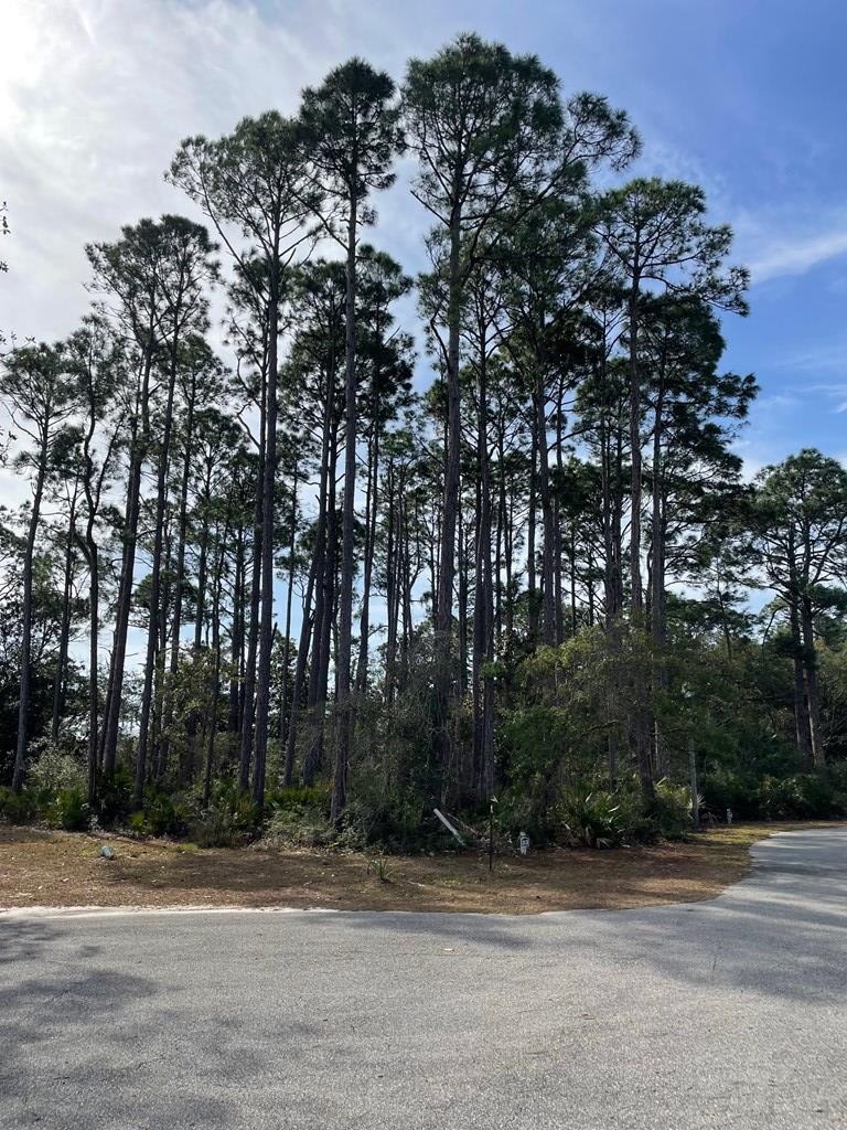 lot 33 outback dr, cape san blas,  FL 32456