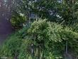  whitehall,  PA 18052
