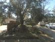 1355 cr 604, bushnell,  FL 33513