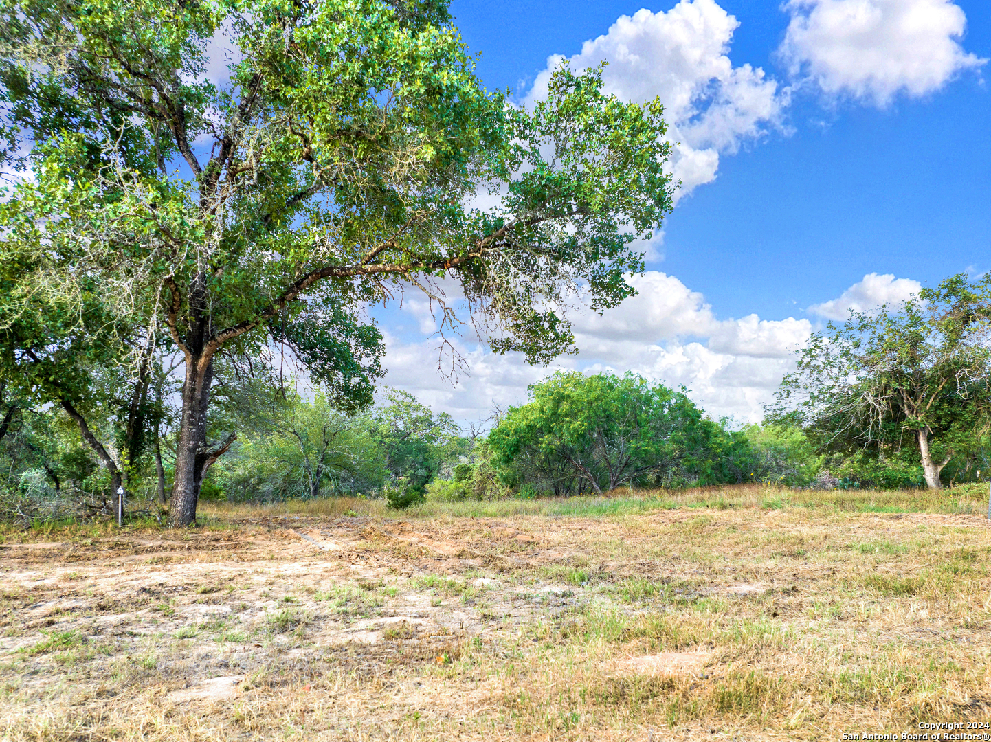 250 timber pl, la vernia,  TX 78121