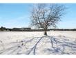 lot 1b w walnut street, strum,  WI 54770