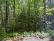 3050-a boundary tr e, lac du flambeau,  WI 54538