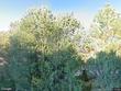 2020 senda de andres, santa fe,  NM 87501