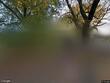 9303 park st, lenexa,  KS 66215
