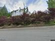 1405 mallard view dr #3
                                ,Unit Apt 3, mount vernon,  WA 98274