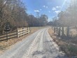 49 acres county road 56, russellville,  AL 35654