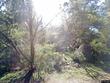 16301 forest way, austin,  TX 78734