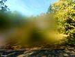 634 bielen rd, mosinee,  WI 54455