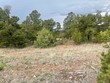 lot 2 tract 1b coyote chase, rowe,  NM 87562