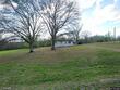 41 peppertown rd, loretto,  TN 38469