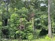 eastwood drive, starke,  FL 32091