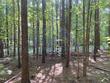 000 collins road lot 5 road, manson,  NC 27553