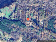  medon,  TN 38356