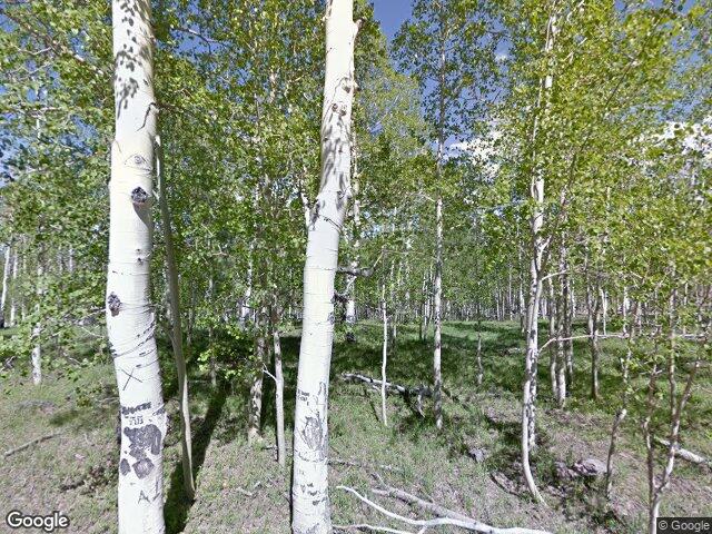 1216 n dry lakes rd rd, brian head,  UT 84719