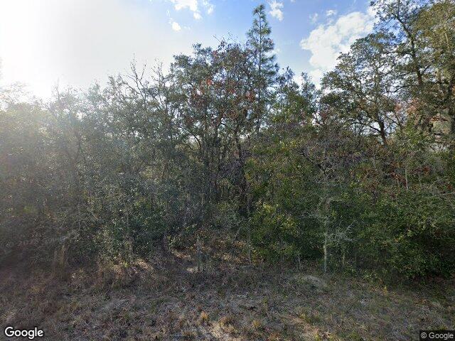 7467 atwood drive, webster,  FL 33597