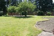  lynnwood,  WA 98037
