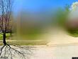 6134 n amoret ave, kansas city,  MO 64151