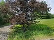 191 moran rd, greene,  NY 13787