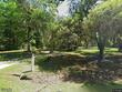 8557 palmetto rd, edisto island,  SC 29438