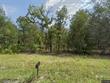  bronson,  FL 32621
