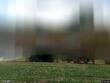 717 rockport dr, clayton,  NC 27527