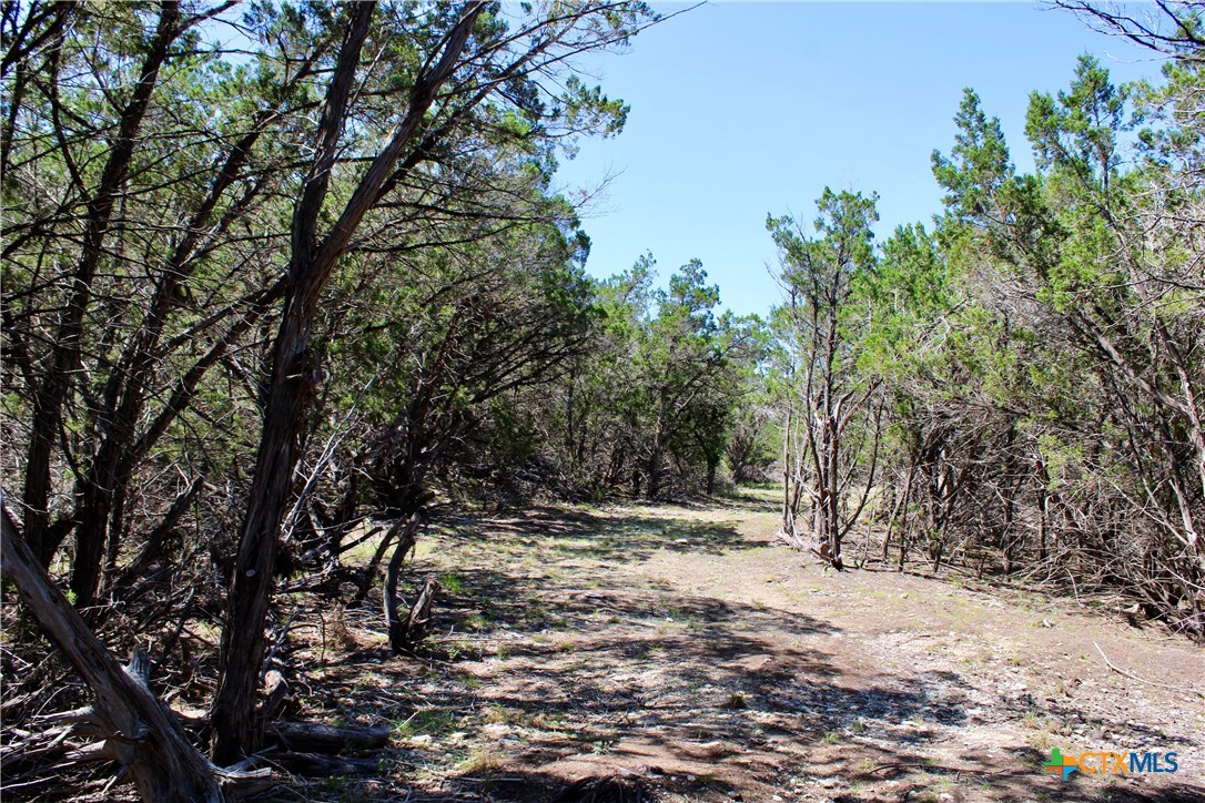 lot 89 n stallion estates drive, spring branch,  TX 78070