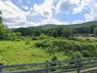 14 elk creek mountain, todd,  NC 28684