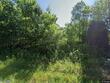 6384 highway 190, paris,  TN 38242