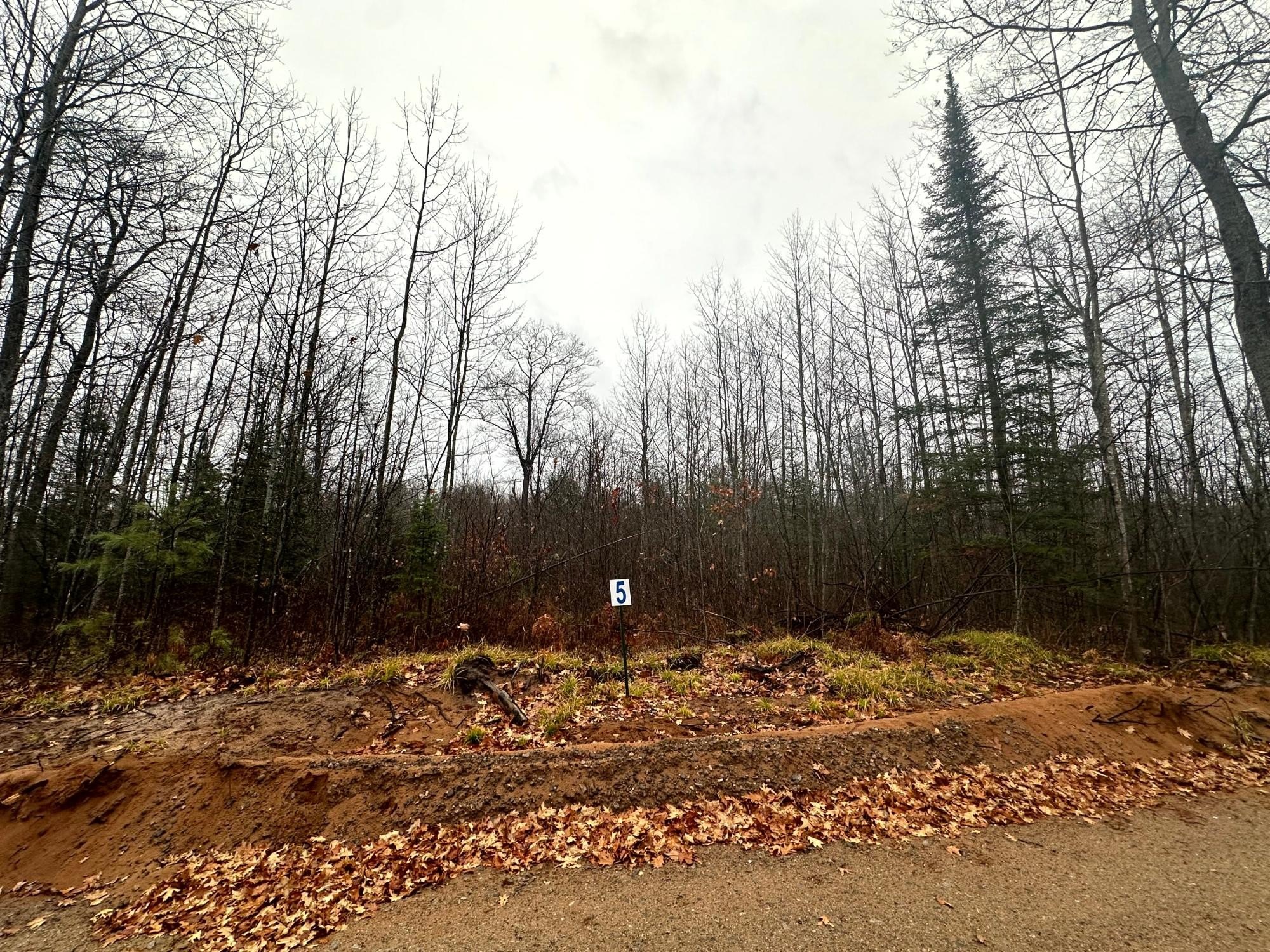 lot 5 cth b, land o lakes,  WI 54540