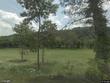 4162 clarks ferry rd, draper,  VA 24324