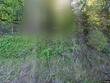 15787 whispering pines ln, mapleton depot,  PA 17066