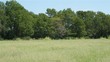 806 county road 328, caldwell,  TX 77836